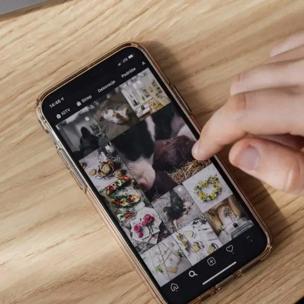 gestion des réseaux sociaux