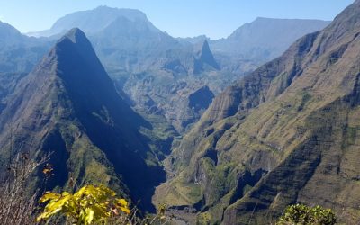 Les initiatives de développement du tourisme digital à La Réunion